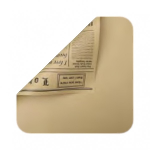 PAPEL COREANO BICOLOR...