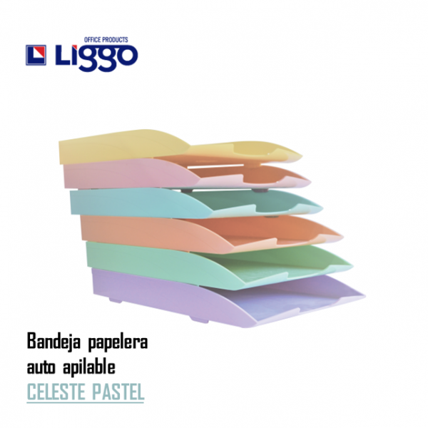 BANDEJA A4 PARA ESCRITORIO...