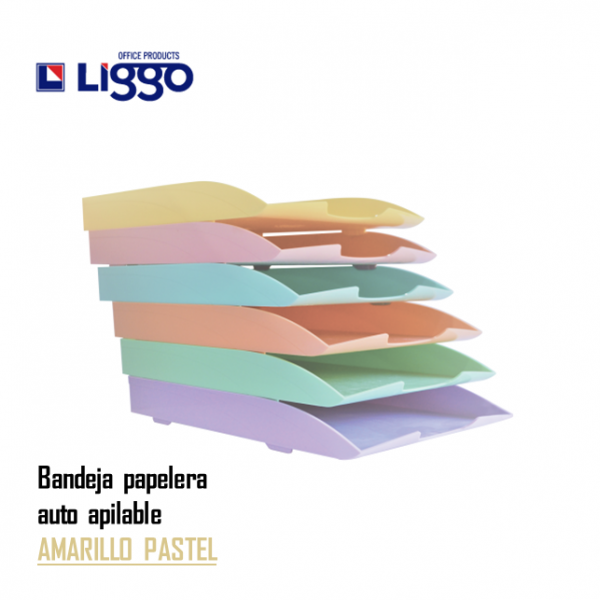 BANDEJA A4 PARA ESCRITORIO...
