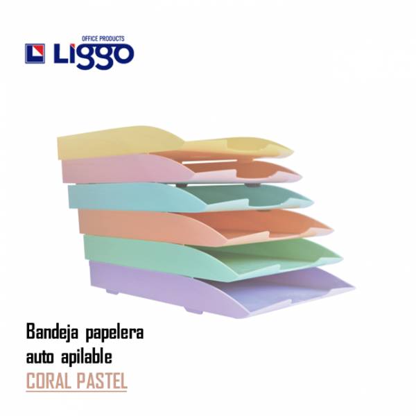 BANDEJA A4 PARA ESCRITORIO...