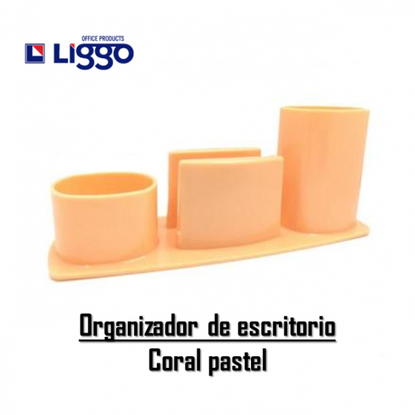 ORGANIZADOR DE ESCRITORIO...