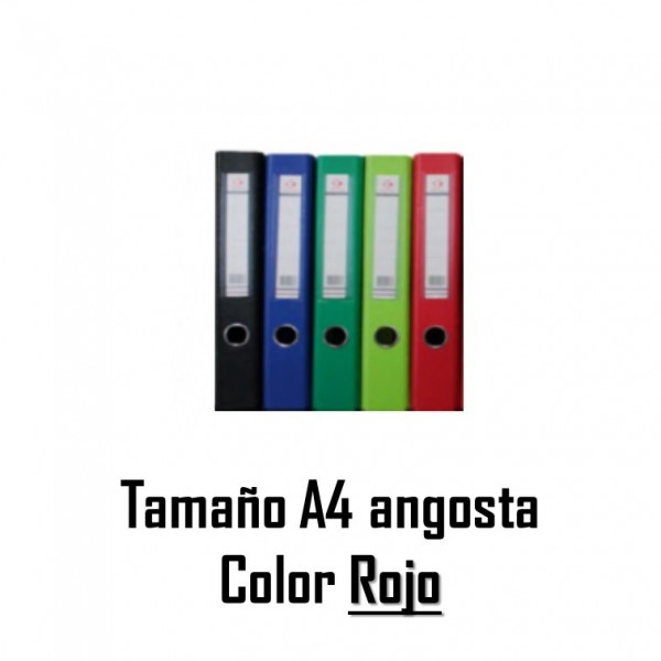 CARPETA REGISTRADORA...