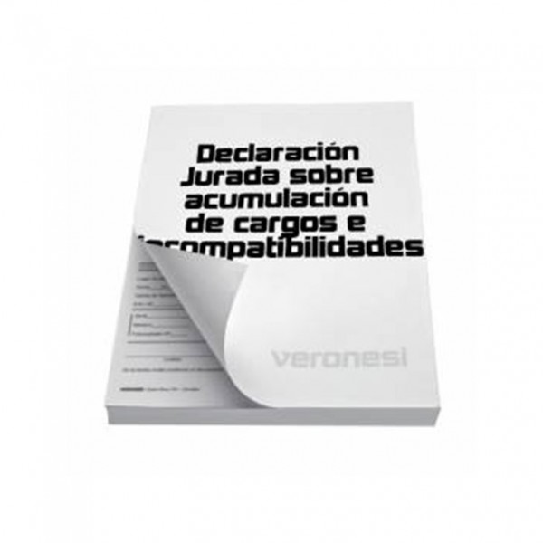 DECLARACION JURADA CARGOS E...