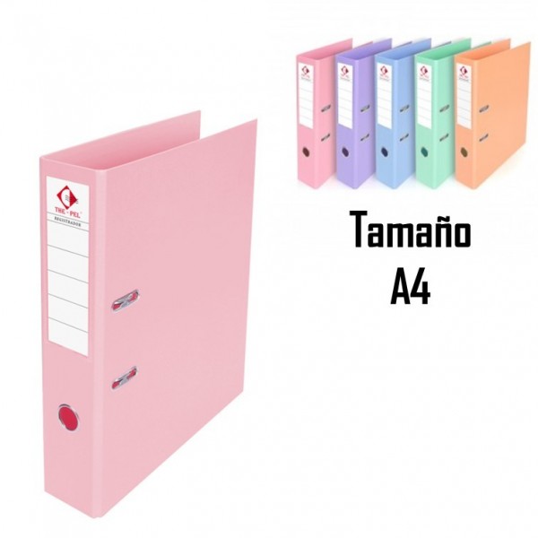 CARPETA REGISTRADORA...