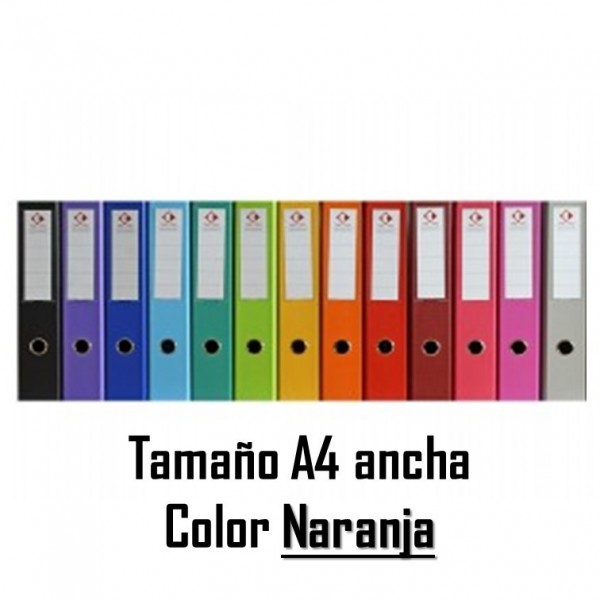CARPETA REGISTRADORA...