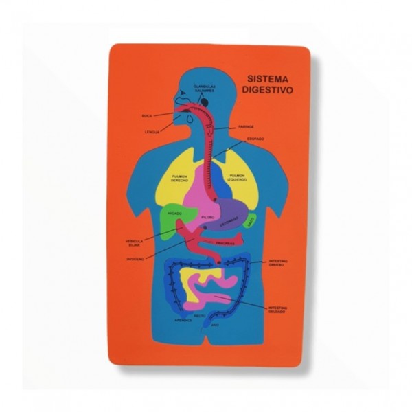 ENCASTRE GOMA EVA - SISTEMA...