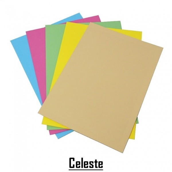 CARPETA DE CARTULINA A4 CON...