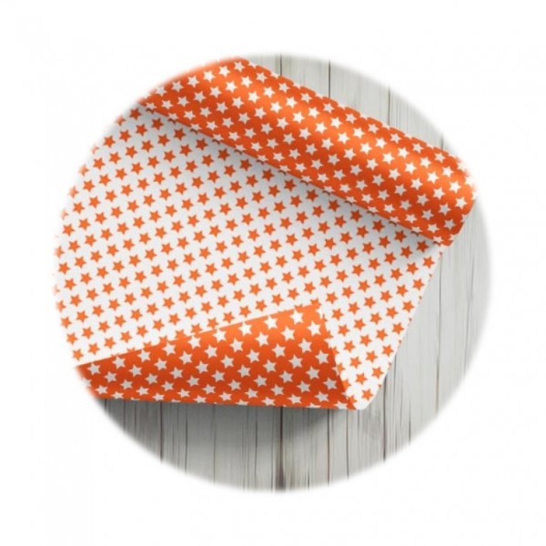 CARTULINA ENTRETENIDA -...