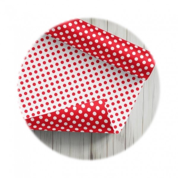 CARTULINA ENTRETENIDA -...