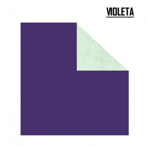 PAPEL AFICHE COLOR VIOLETA