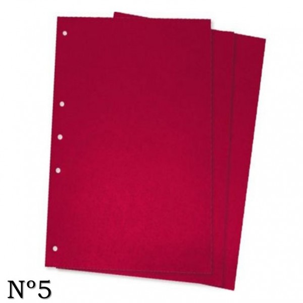 CARATULAS DE CARTULINA Nº5...