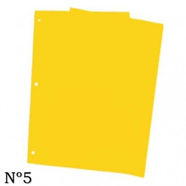 CARATULAS DE CARTULINA Nº5...