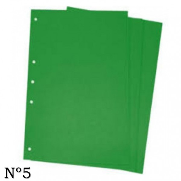 CARATULAS DE CARTULINA Nº5...