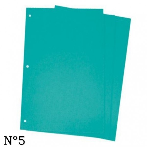 CARATULAS DE CARTULINA Nº5...