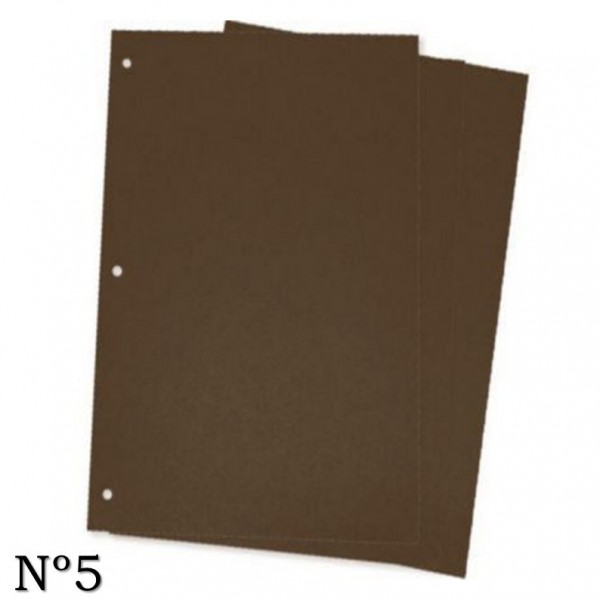 CARATULAS DE CARTULINA Nº5...