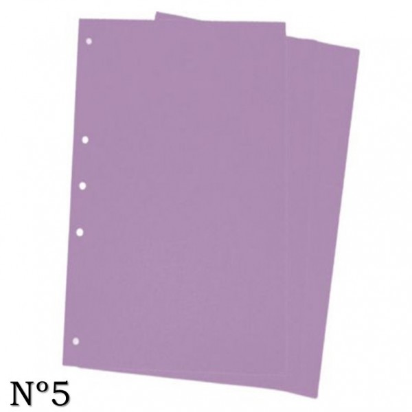 CARATULAS DE CARTULINA Nº5...