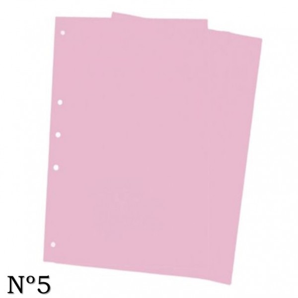 CARATULAS DE CARTULINA Nº5...