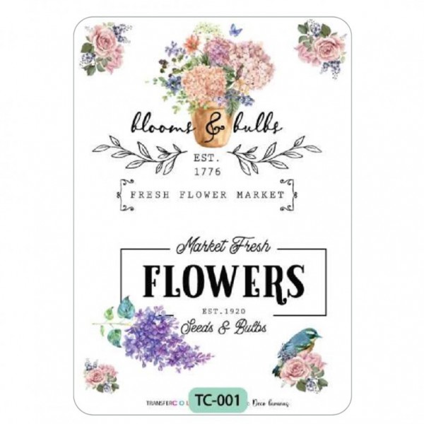 LAMINA TRANSFER CREATIVA -...