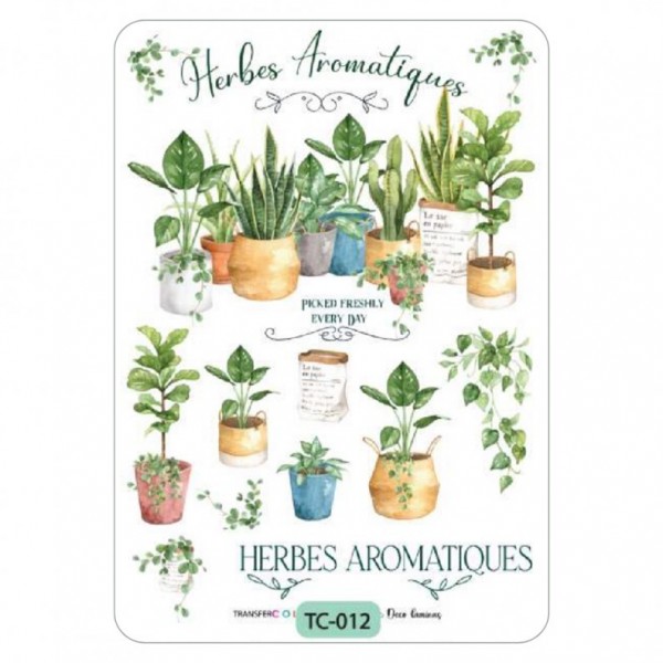 LAMINA TRANSFER CREATIVA -...