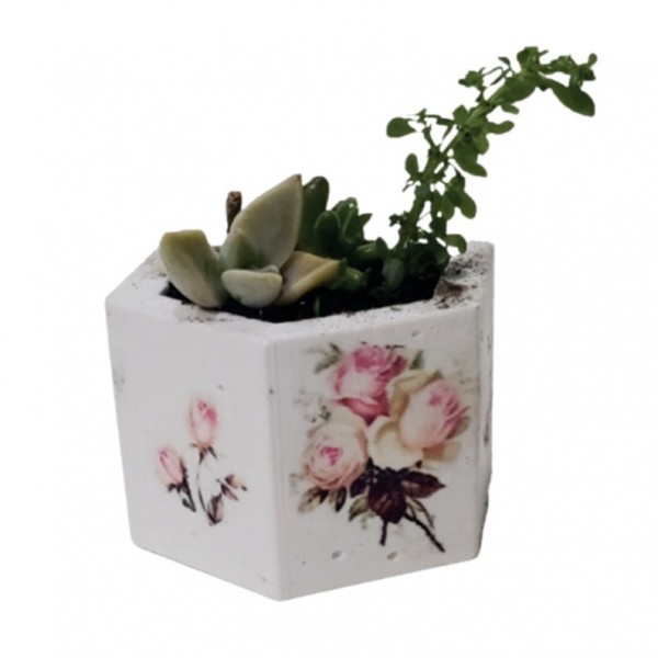 MOLDE DE SILICONA...