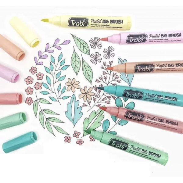 MARCADORES PASTEL BIG BRUSH...