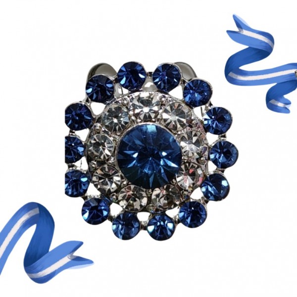 PIN PRENDEDOR PATRIO GRANDE...